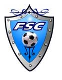 Force SC team badge